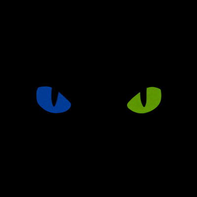 M-Tac CAT EYES patch Cordura 500D 80 × 25 mm — 3/10